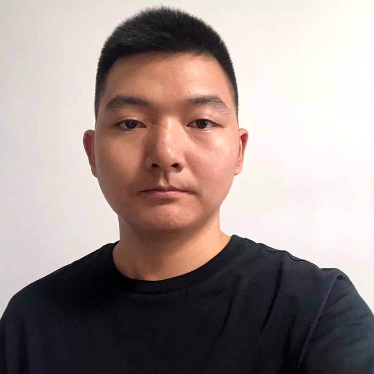 胡萝卜高大的照片