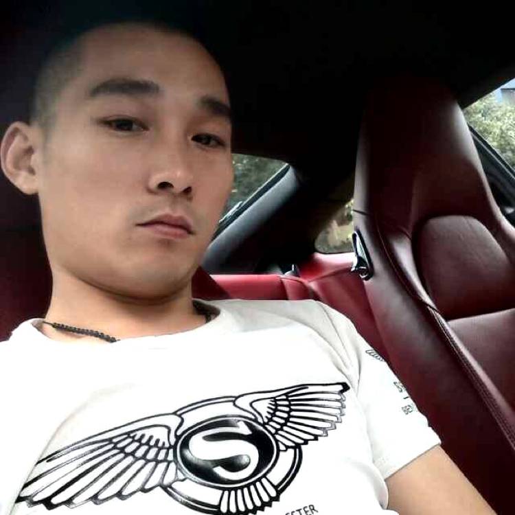 沉静回首化羽的照片