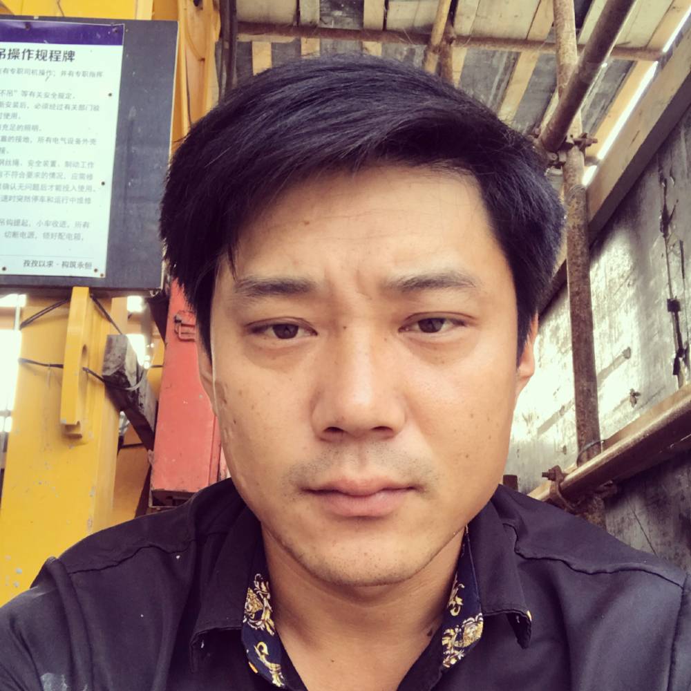 孤独的狼王2的照片