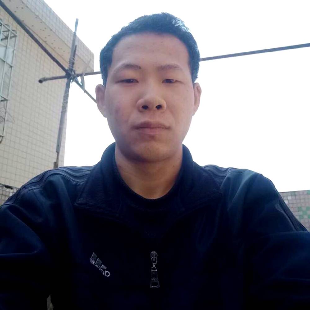 美满迎蝶舞的照片