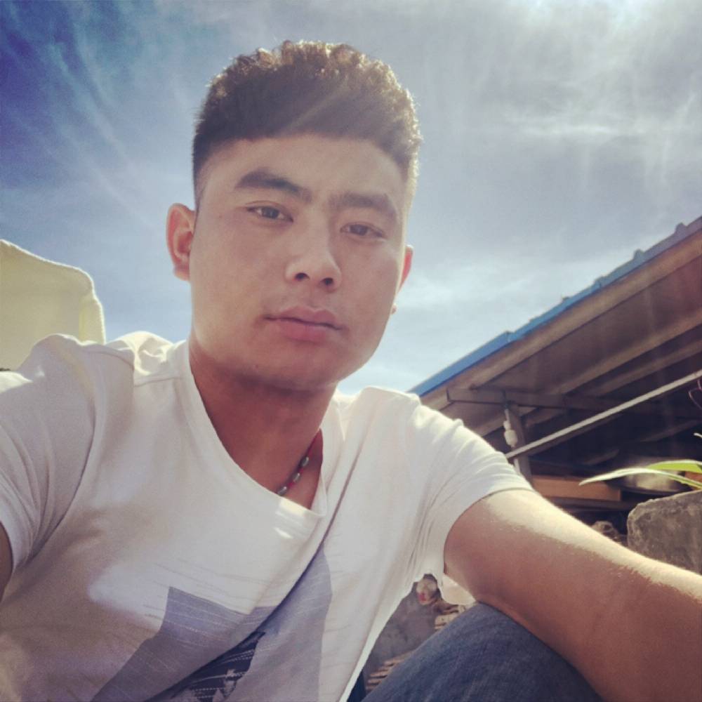 玉米迎活力的照片