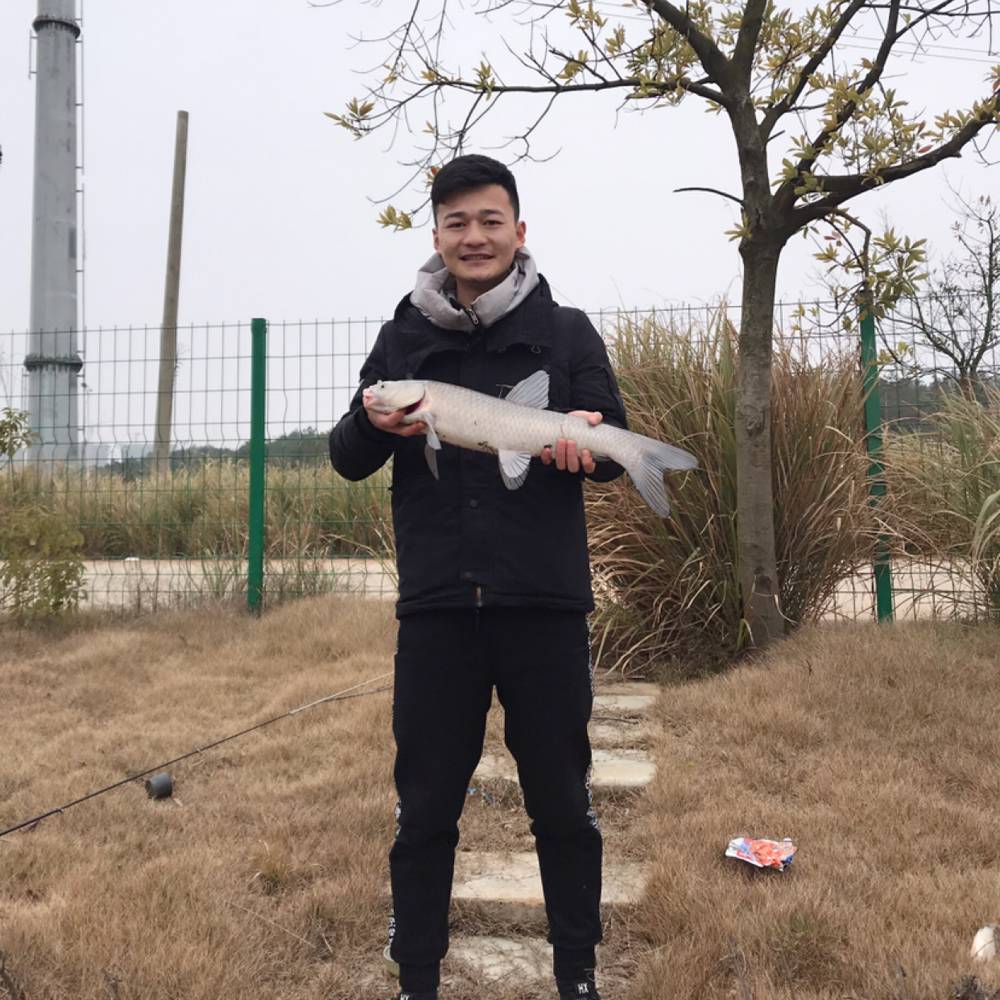 一苇以航Z的照片