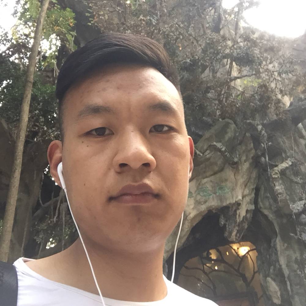 简单浅吻小蚂蚁的照片
