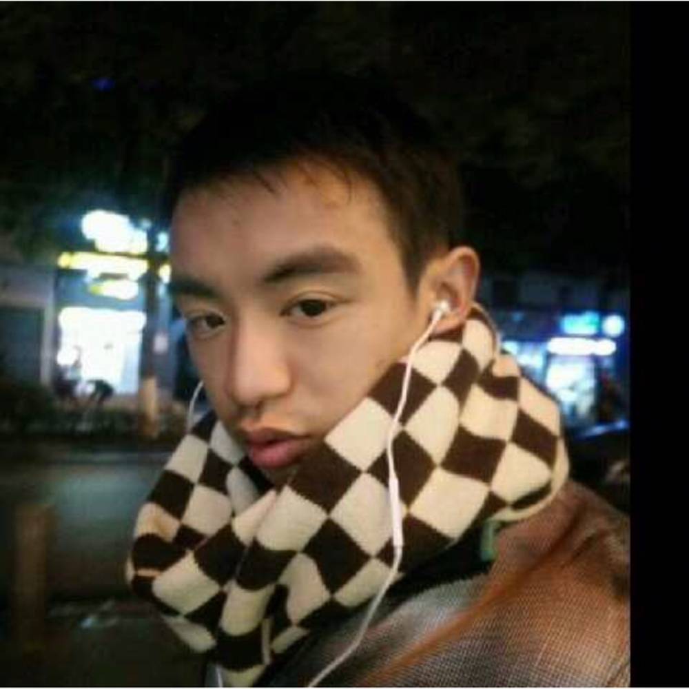 小海豚自觉的照片