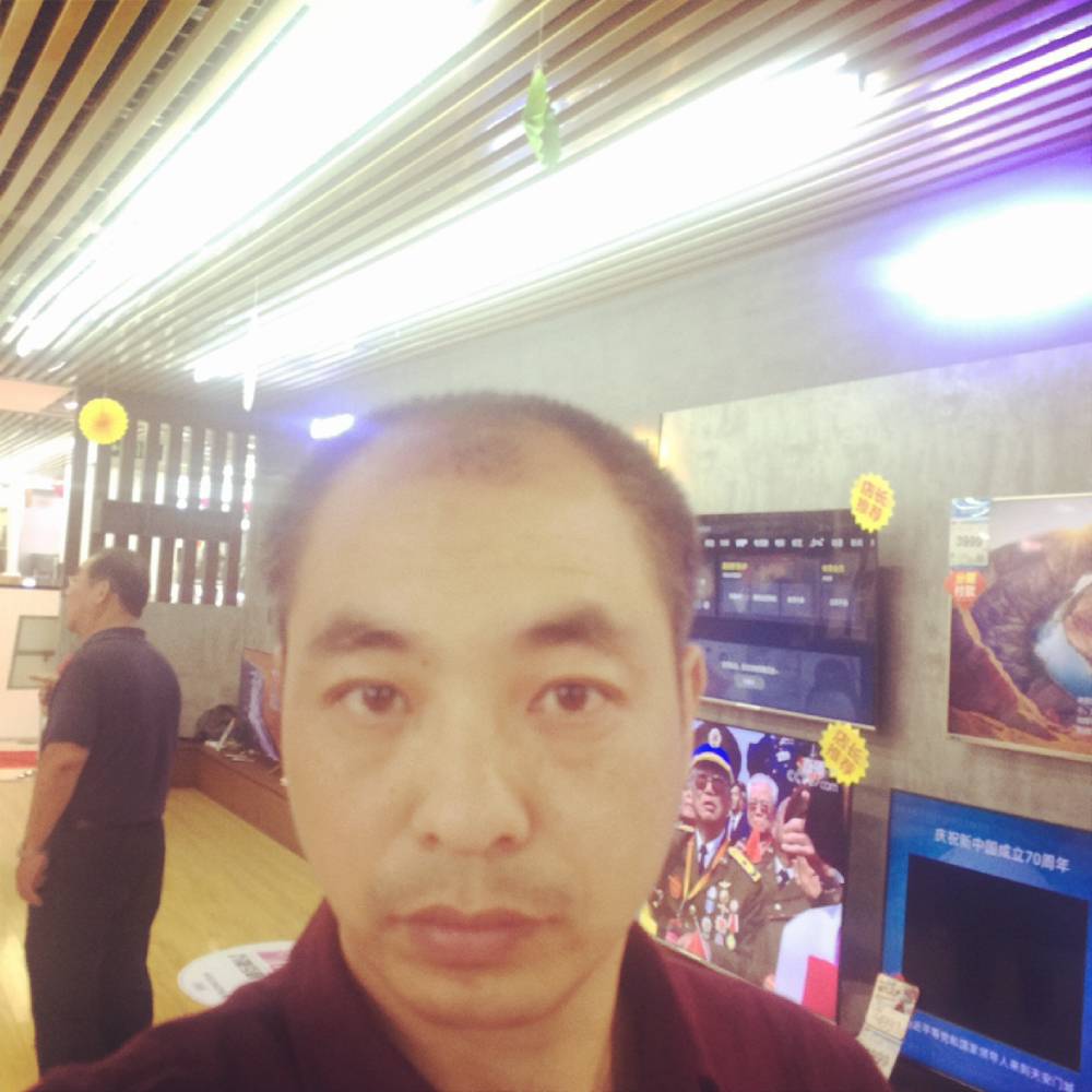烂漫蹁跹玫瑰的照片