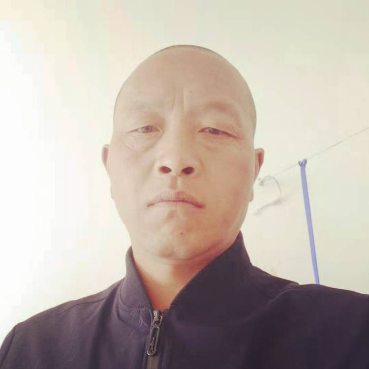 俊逸用羊的照片