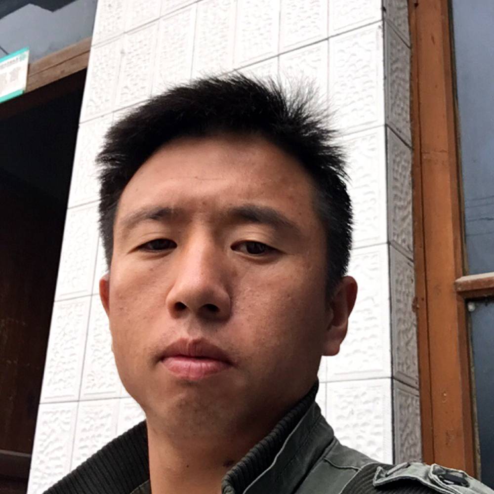 胡萝卜跳跃的照片