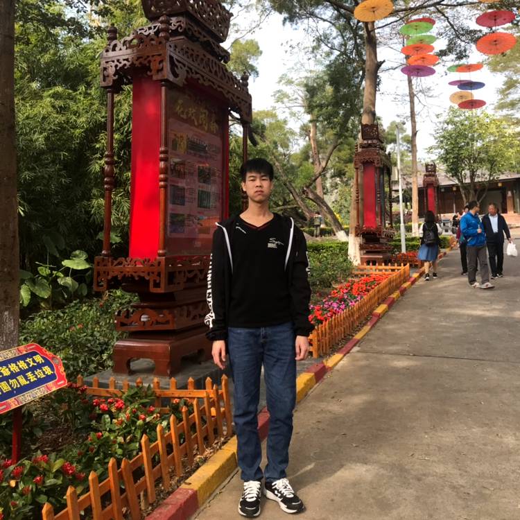 机灵挽手乐曲的照片