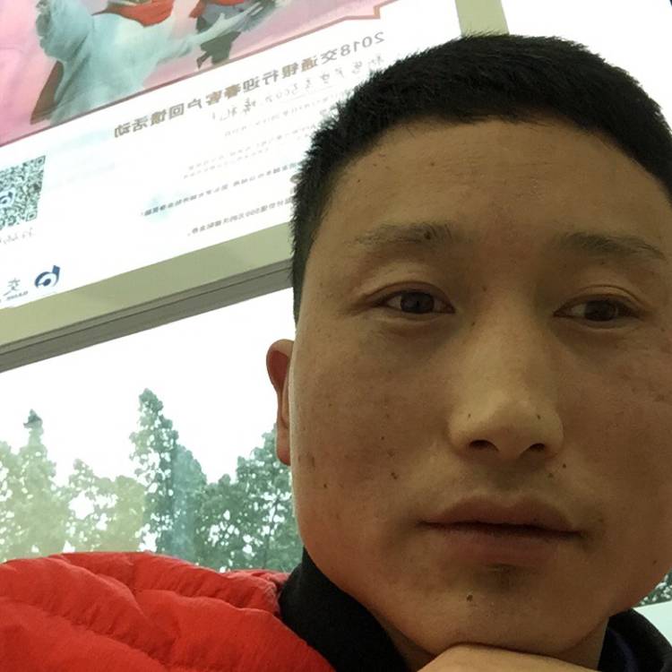迷人凝眸河马的照片