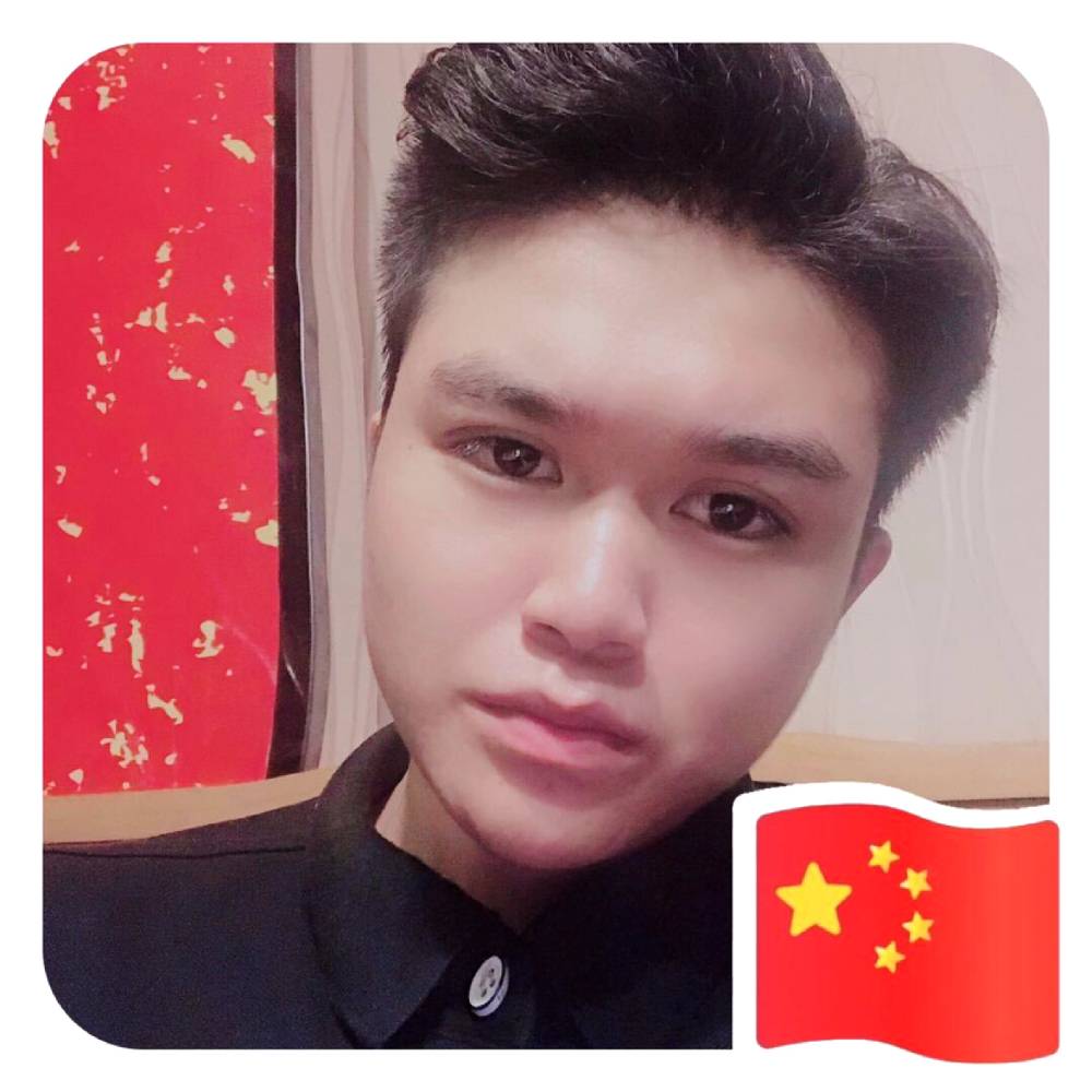 黄蜂老实的照片
