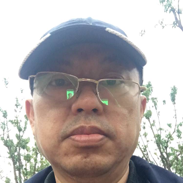 温顺的小棉的照片