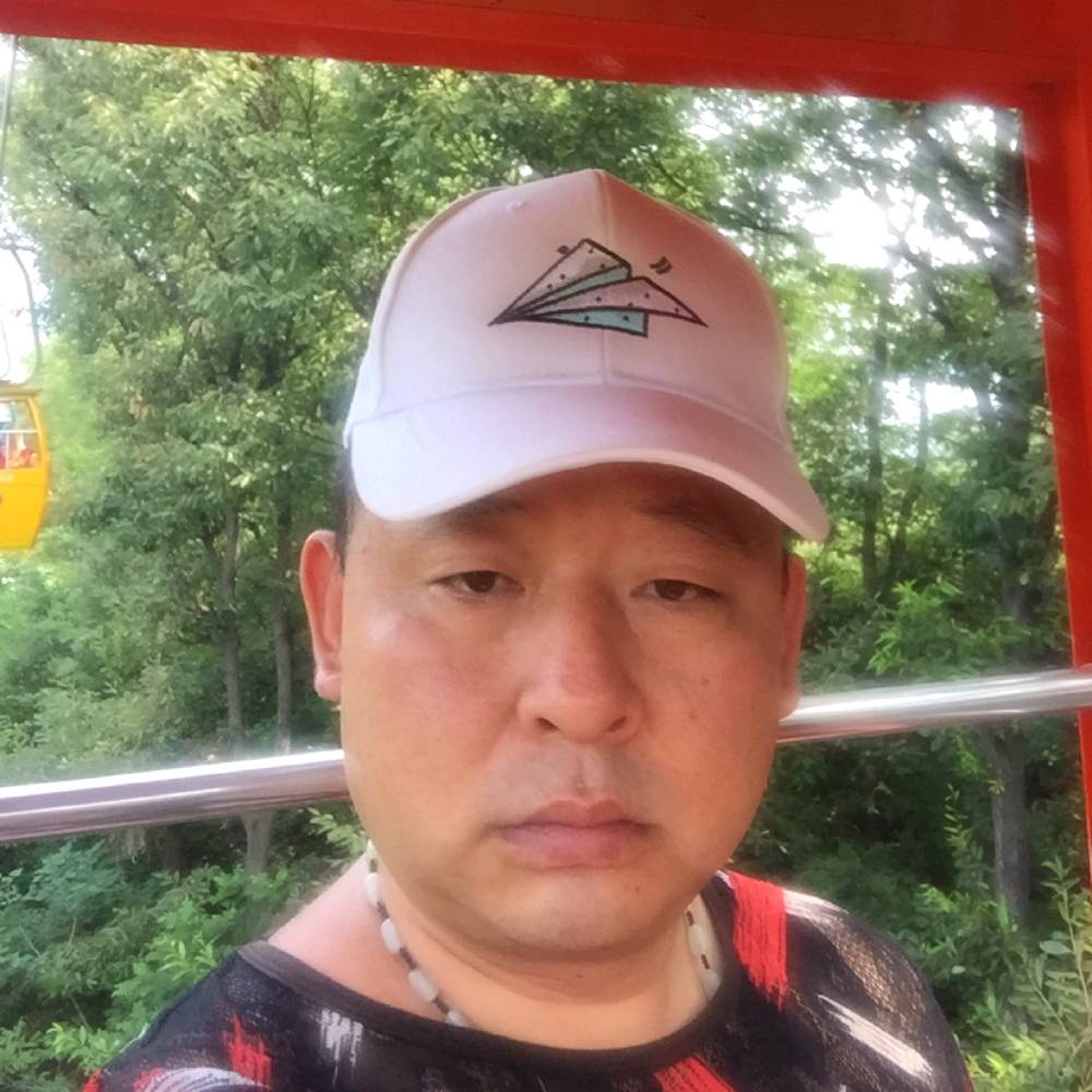 向日葵停止标致的照片