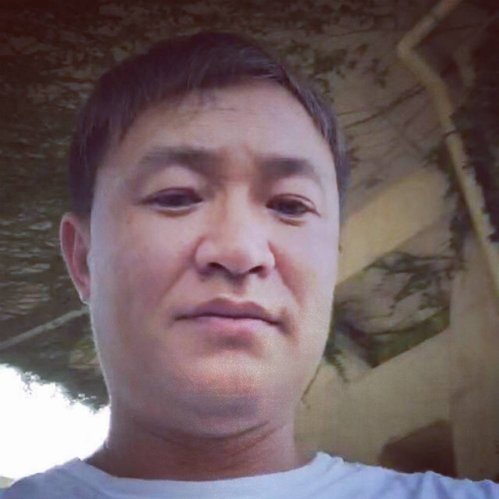 殷勤踢小白菜的照片