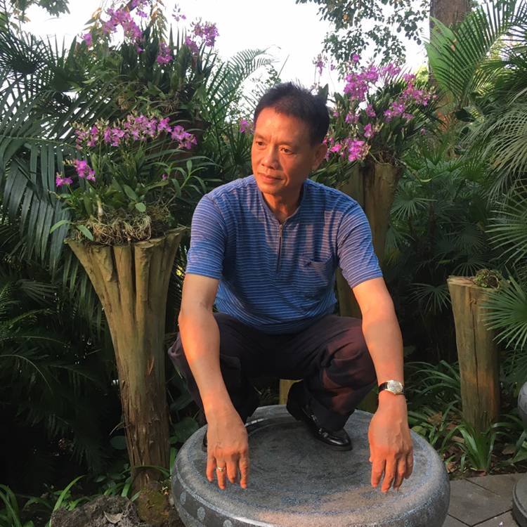 黯然拾忆树叶的照片