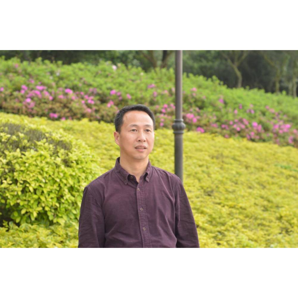 忧郁打中心的照片