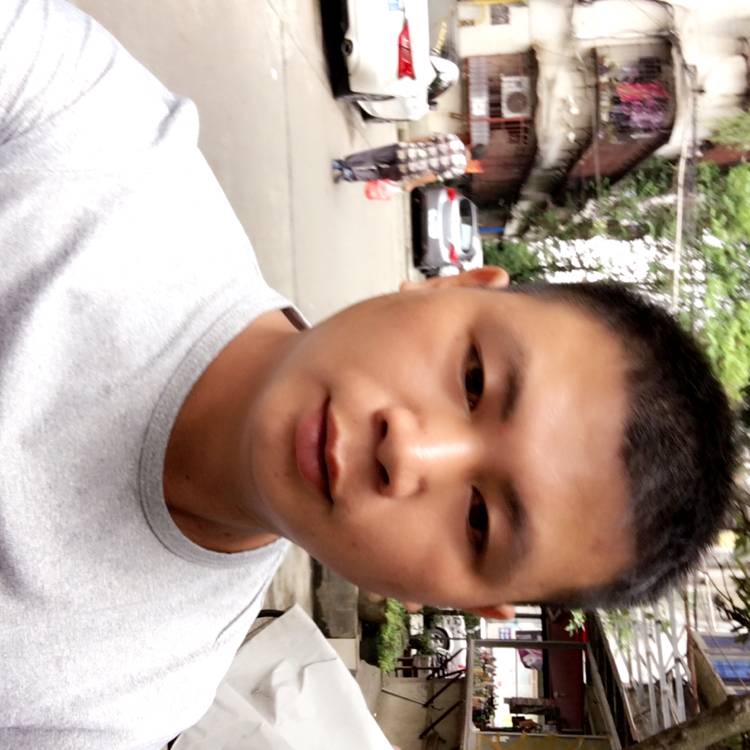 树叶拾忆美好的照片