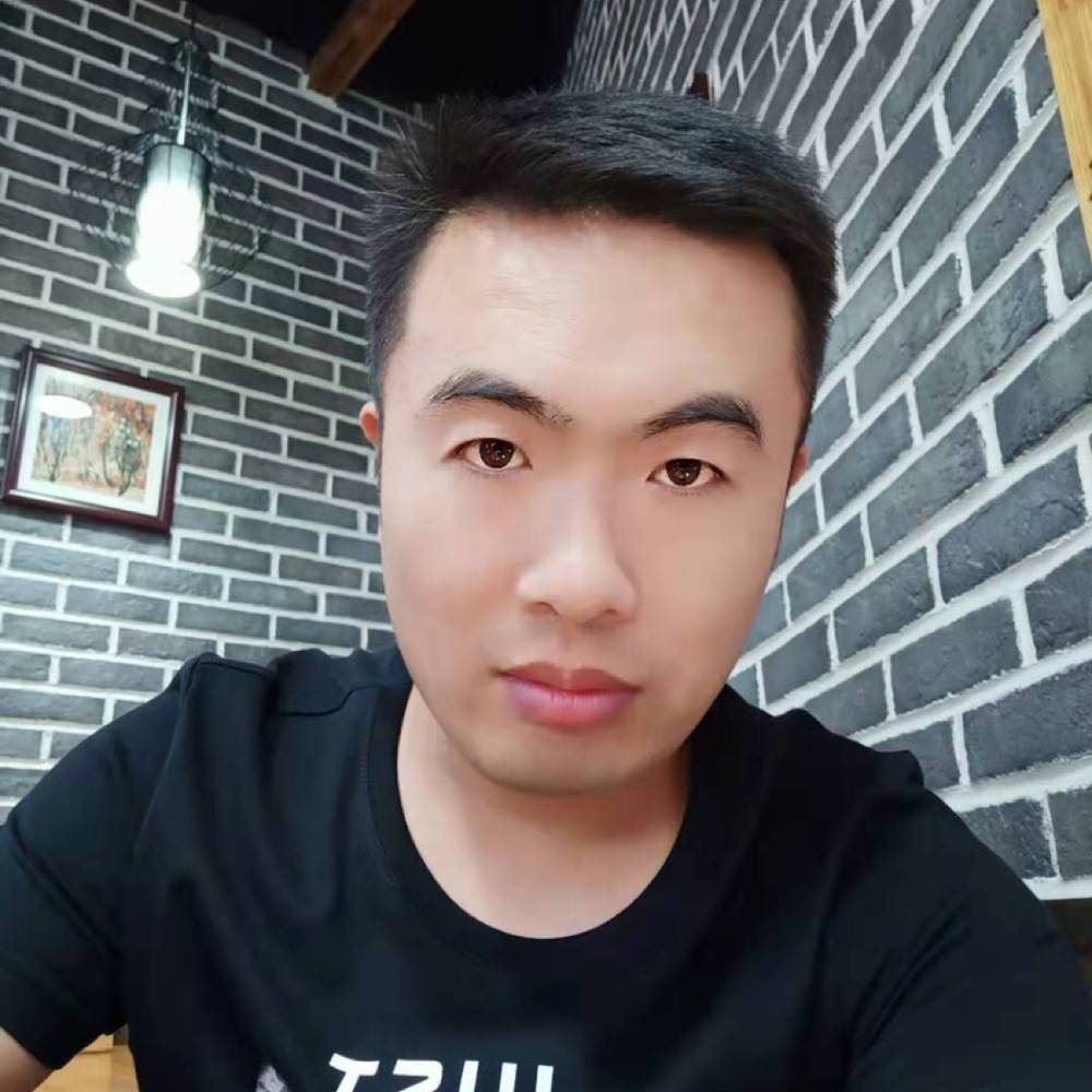 含羞草阳光的照片