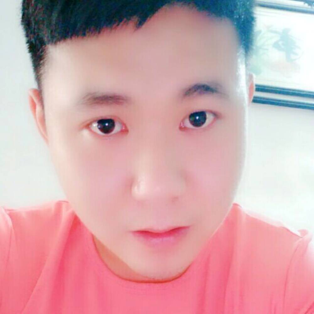 小鸟背太阳的照片