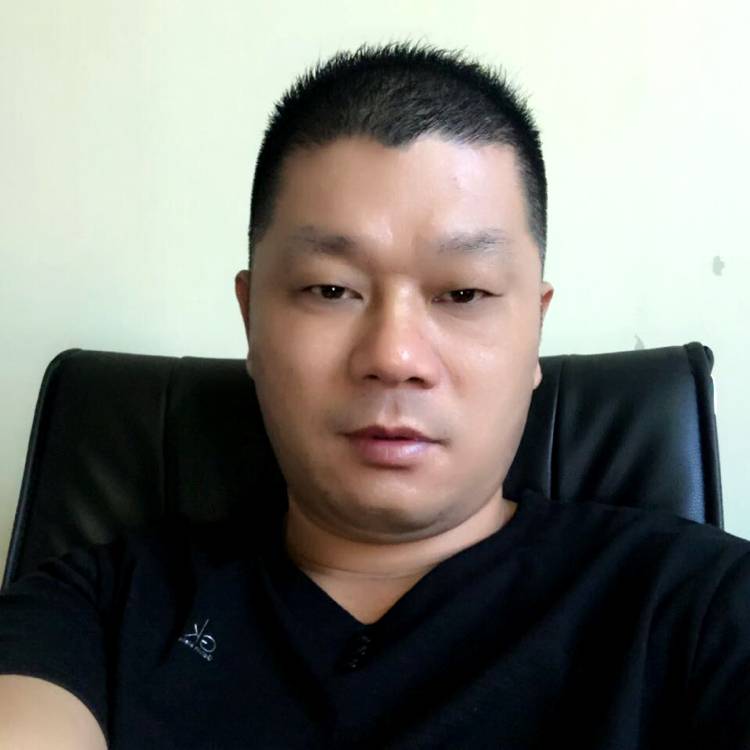 迷茫倾心大雁的照片