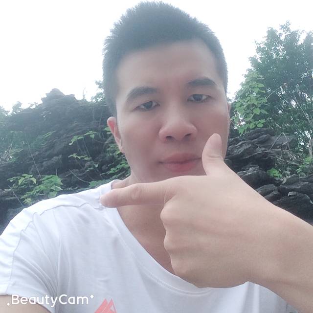 灰狼等待隐形的照片