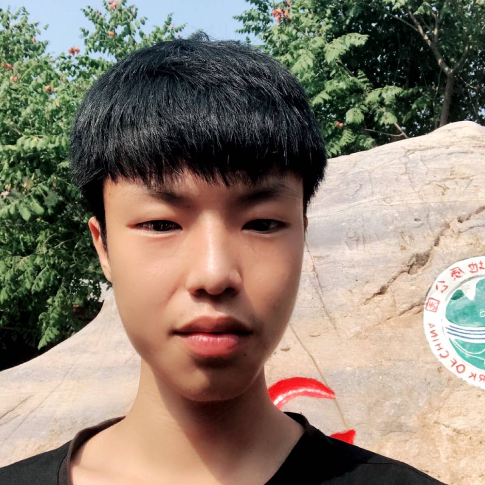 黄蜂泪了儒雅的照片