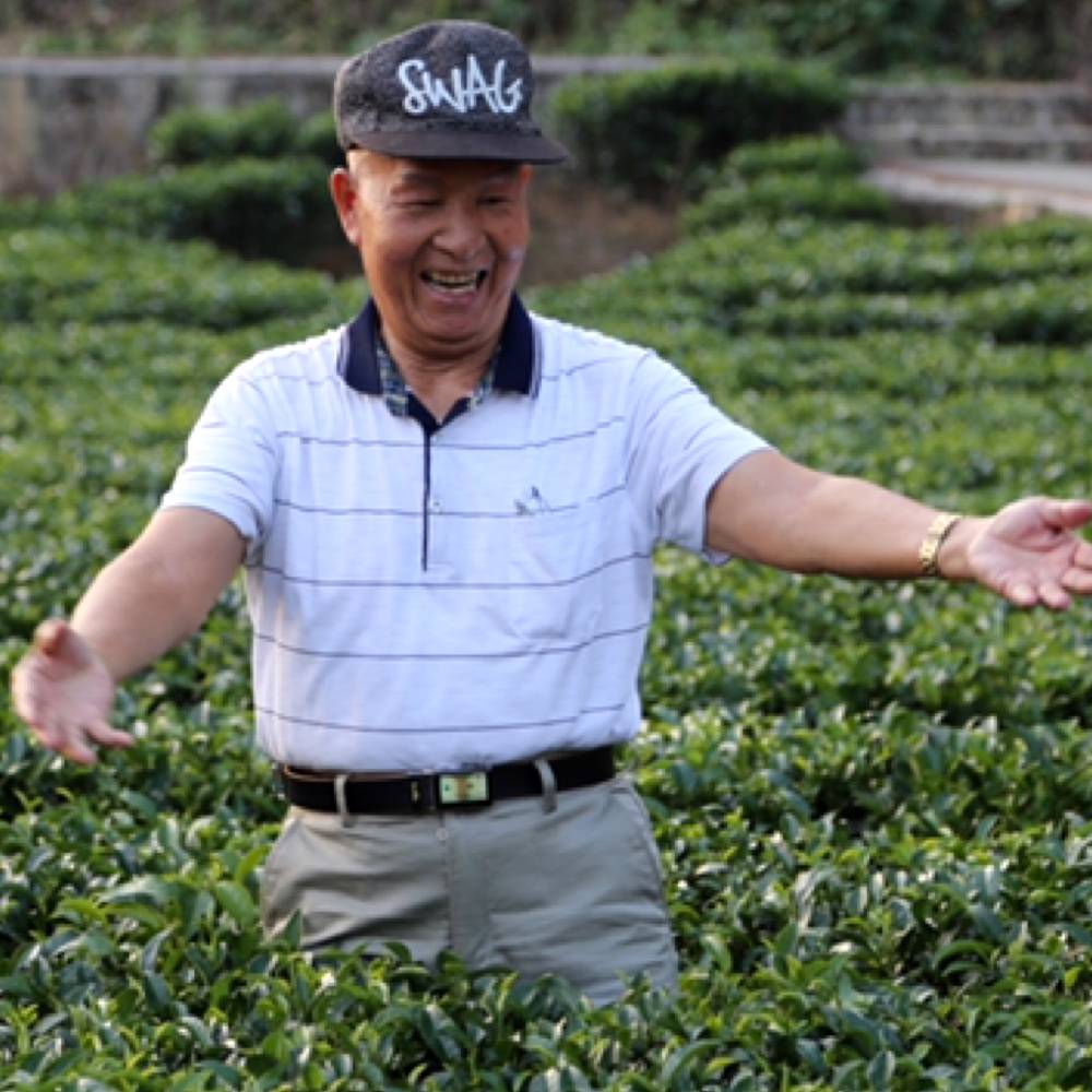 菠萝务实的照片