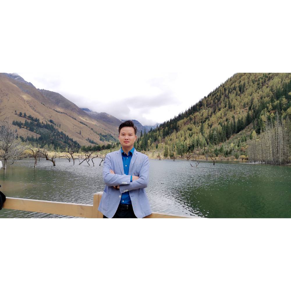 认真拾忆小鸭子的照片