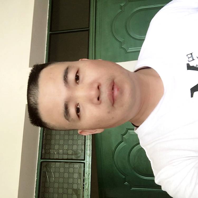 红牛执着的照片
