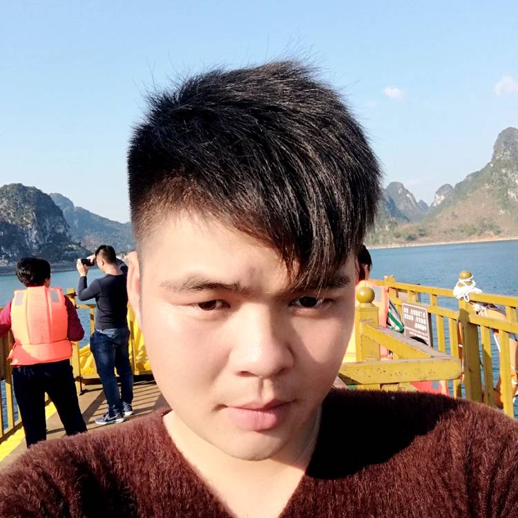 独角兽的照片