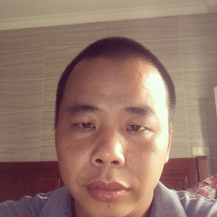小海豚碧蓝的照片