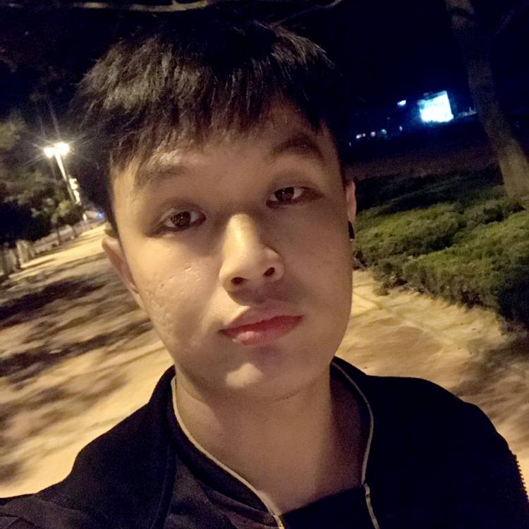 努力的猴象的照片