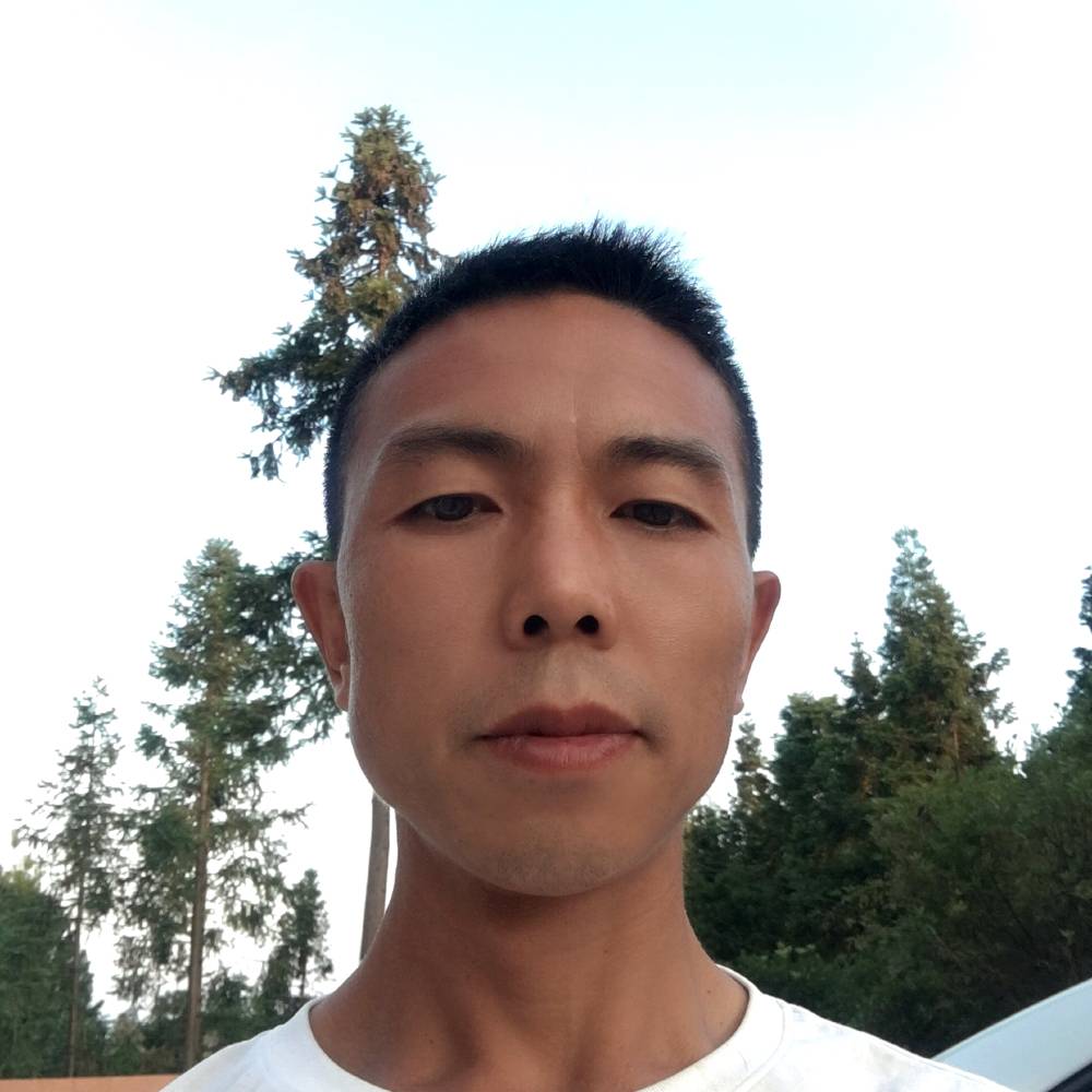 快乐凝眸羽毛的照片
