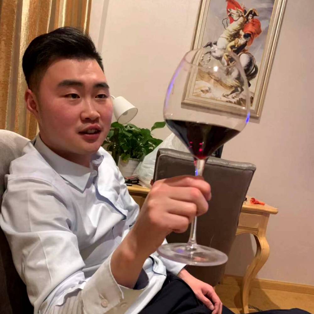 向日葵停止阳光的照片