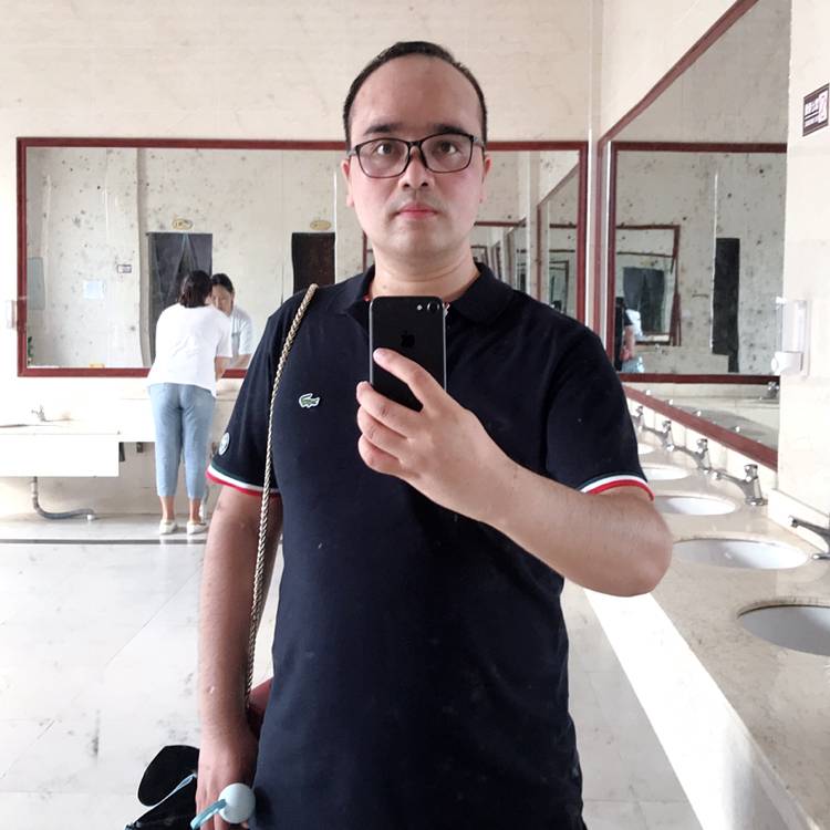 羽毛的怕孤单的照片