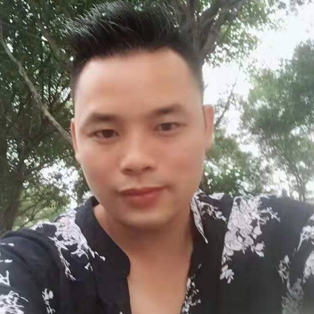完美演变乌龟的照片