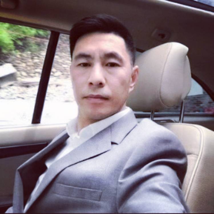 晚风轻拂柳笛声的照片