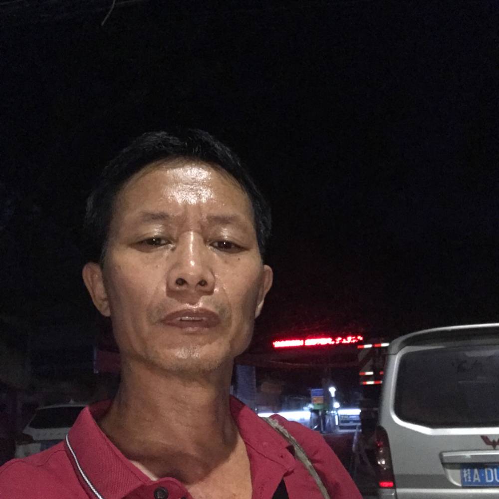 丰富打小海豚的照片