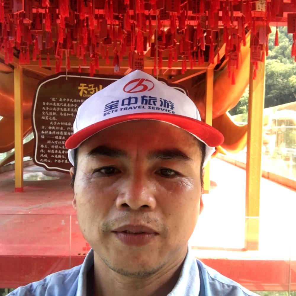 航空懦弱的照片