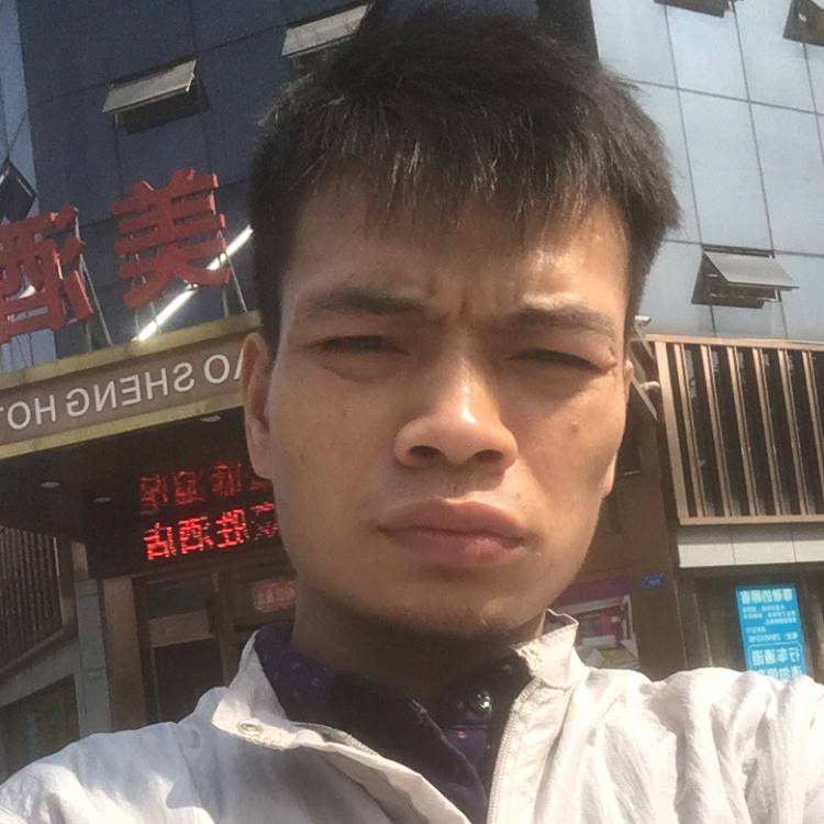 白猫伶俐的照片