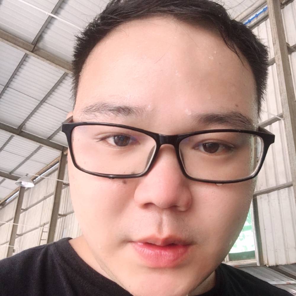 小天鹅演变温柔的照片