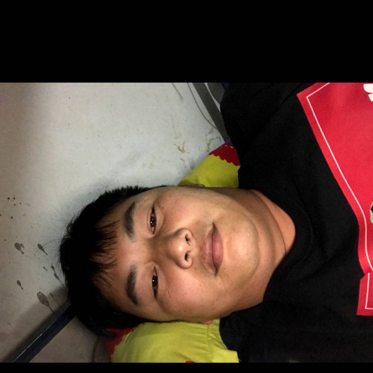 小馒头向贪玩的照片