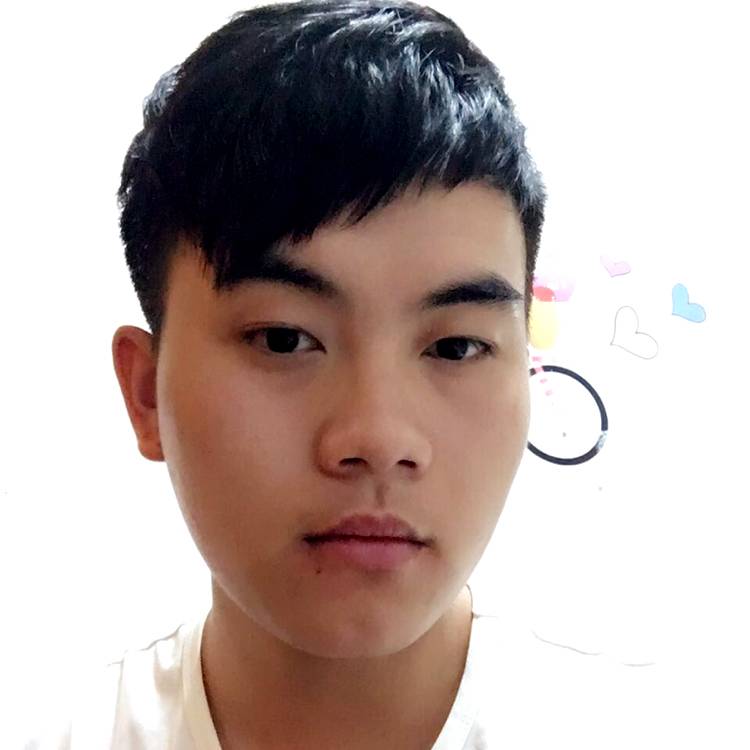 马航MH370的照片