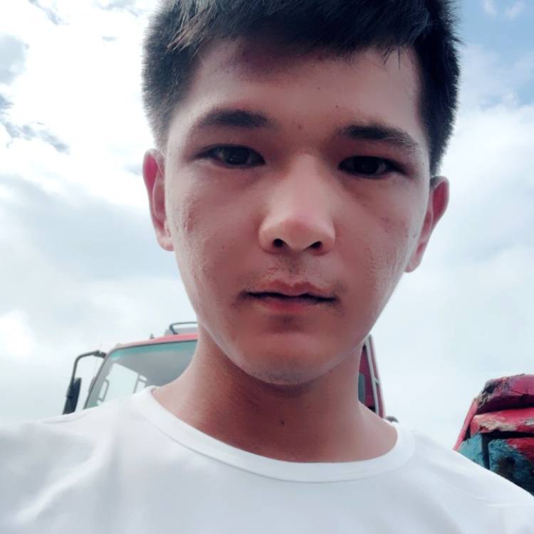 飞机挽手无辜的照片