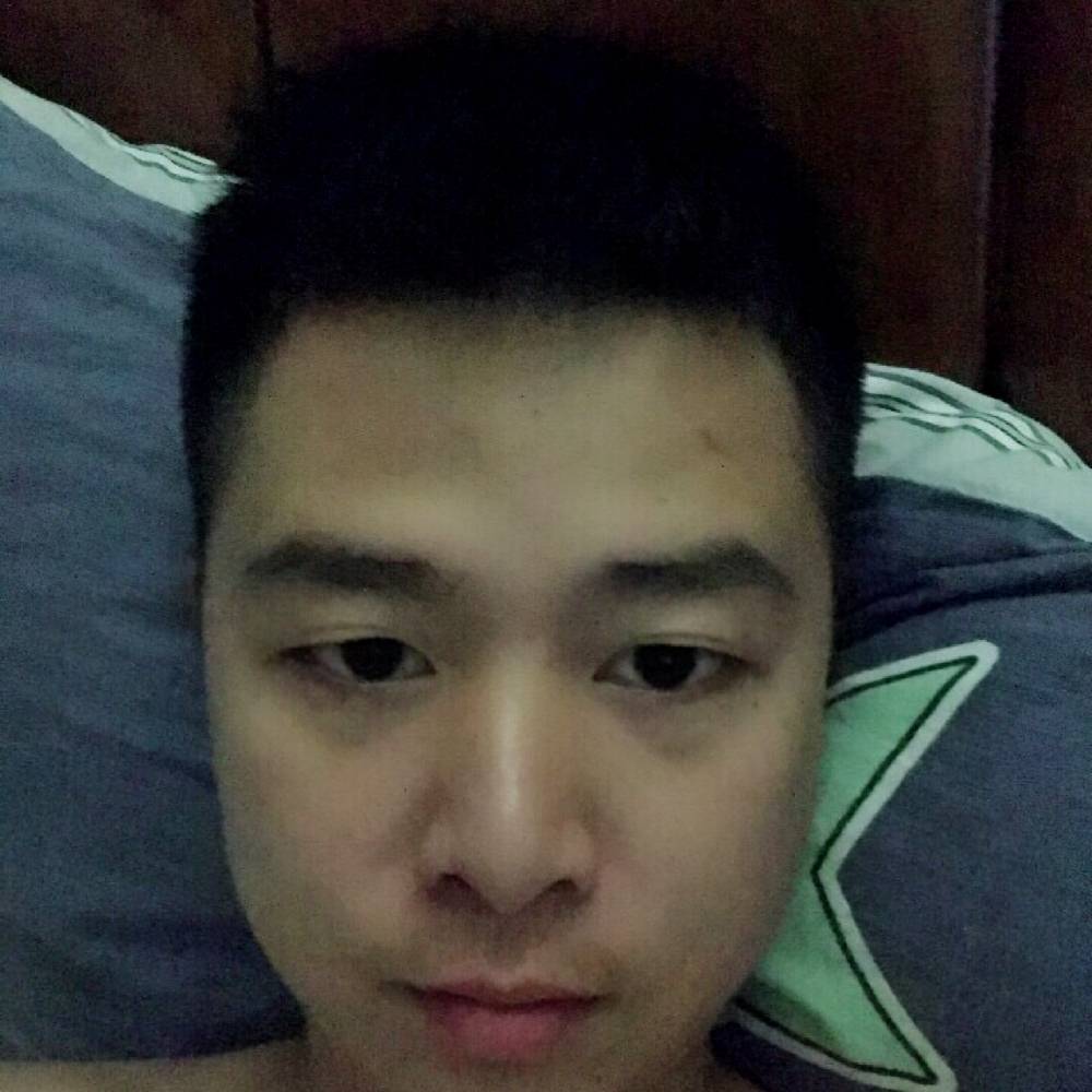 白猫的友好的照片