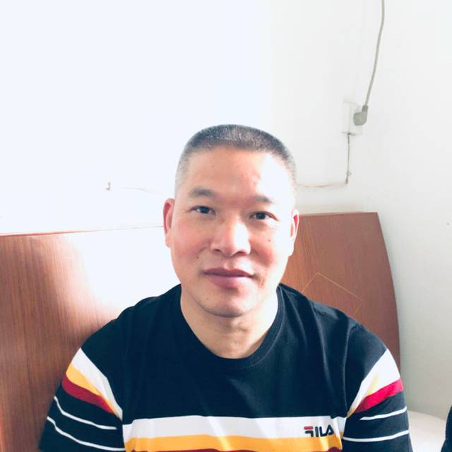 蜜蜂笑自由的照片