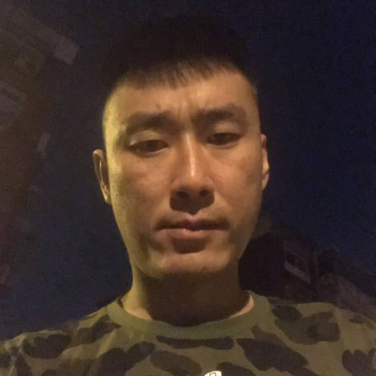 独寂拾忆狗的照片