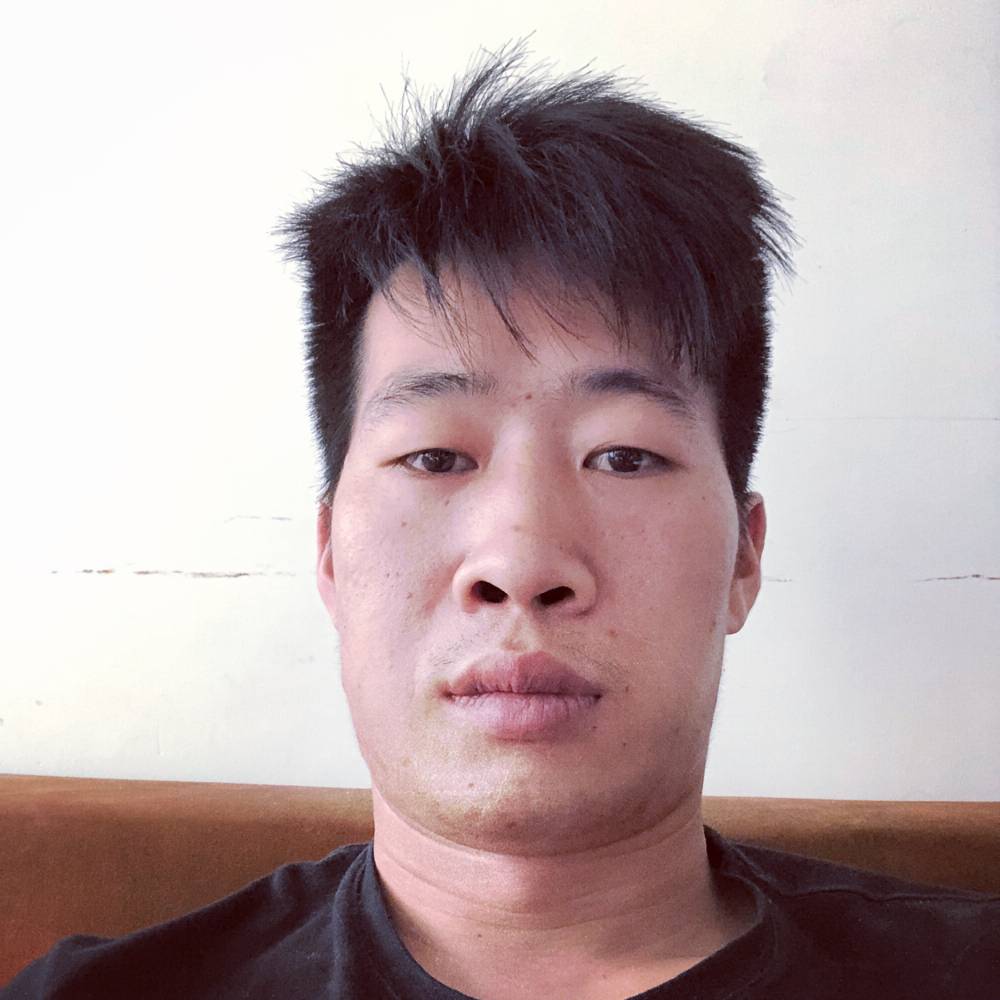 乌龟轻松的照片