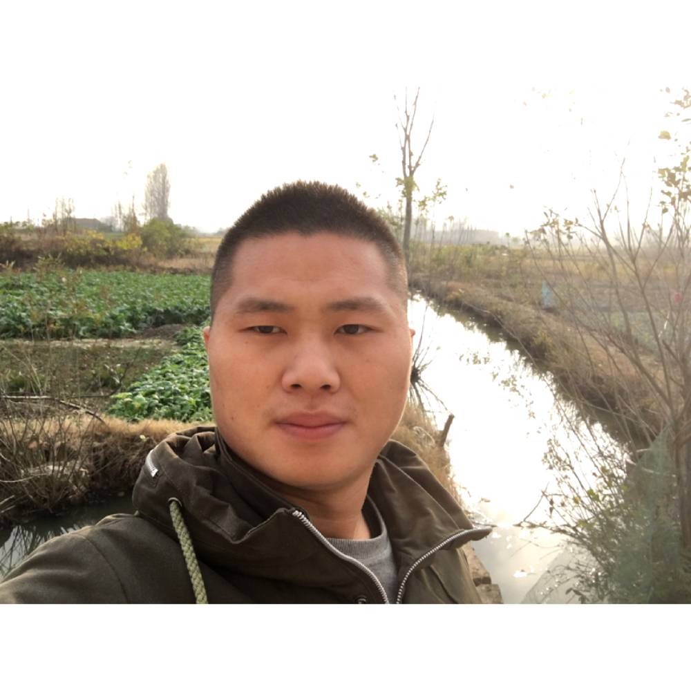 毛玉的照片