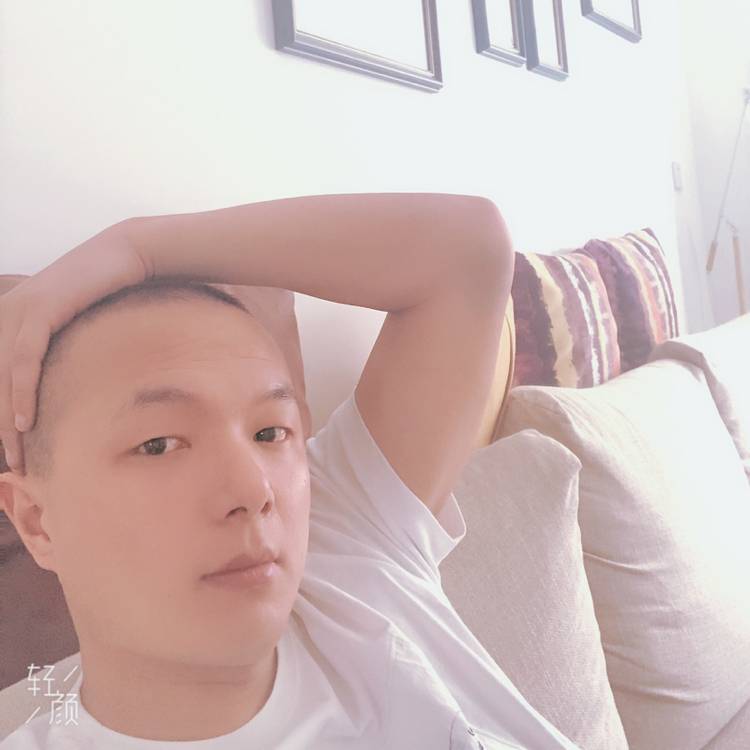 单薄树叶Z的照片