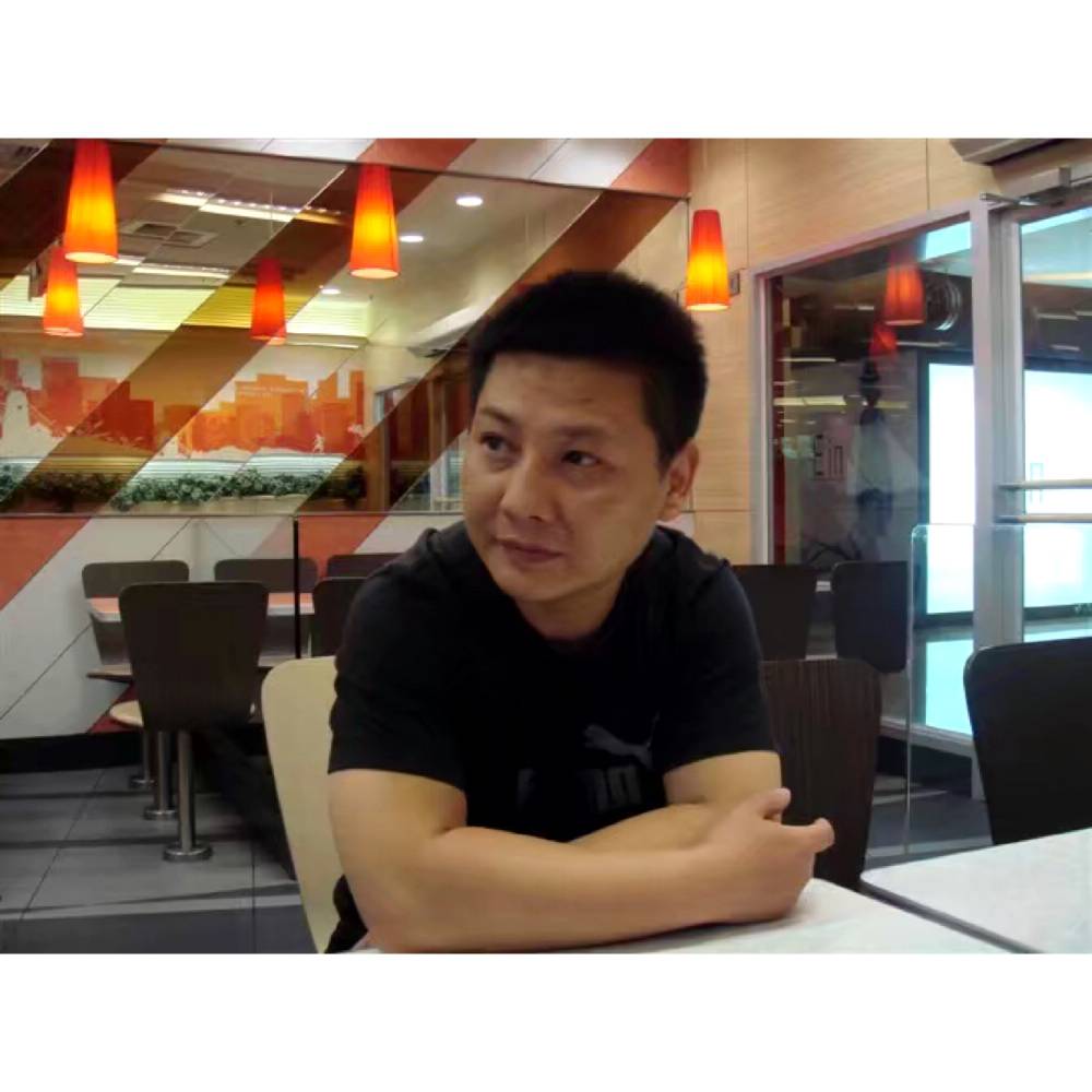 斑马追寻的照片